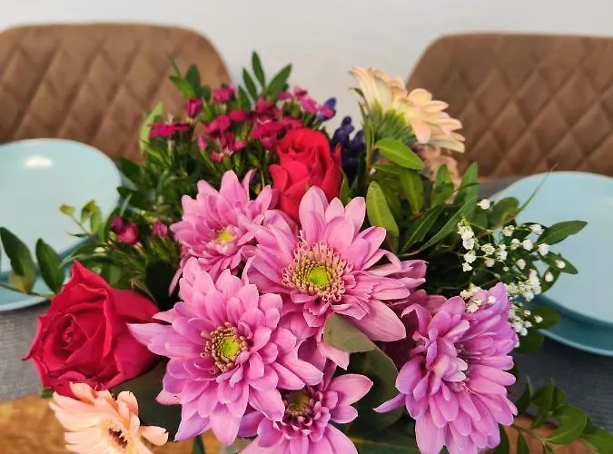 Wohlfuehloase 1 * 门兴格拉德巴赫